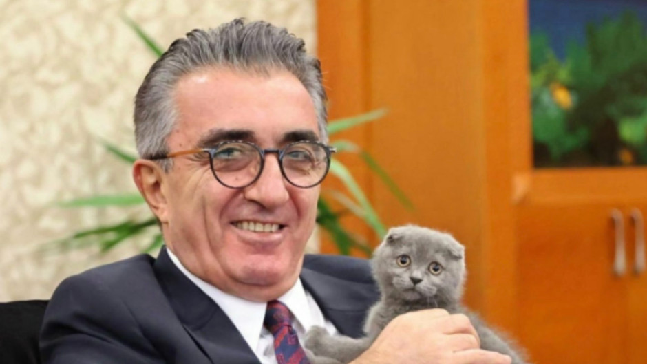 Sıra kediye geldi: Hasan Mutlu’nun Bulut”una kayyum atandı!