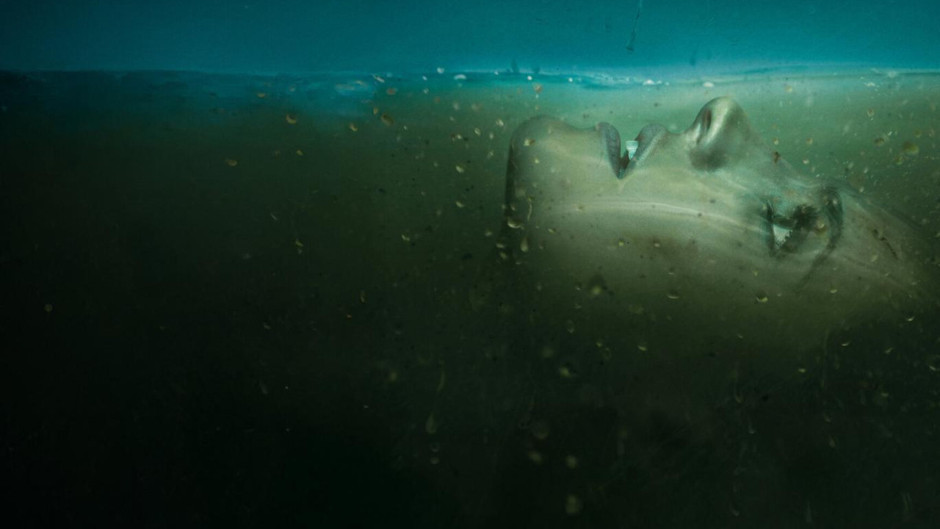 Prime Video'dan Netflix'e transfer: İzleyiciyi 10 dakikada yakaladı