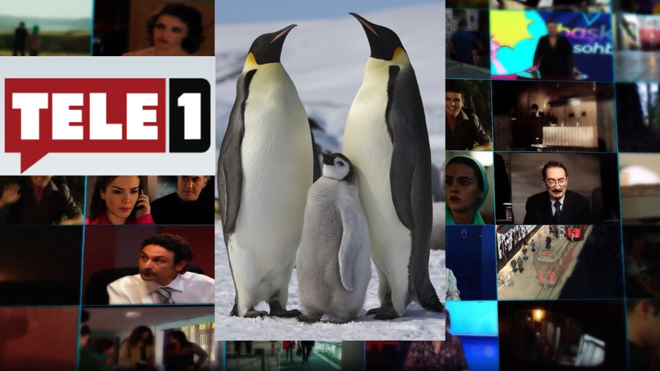 Muhalif haber kanalı TELE 1 kayyumun elinde resmen penguen kanalına dönüştü: Artık haber yok