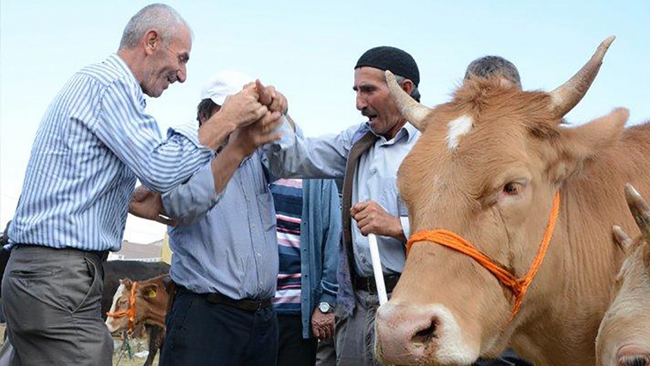 Veteriner Hekimler Odası uyardı: Kurban'da 1 milyon kişi tehdit altında!