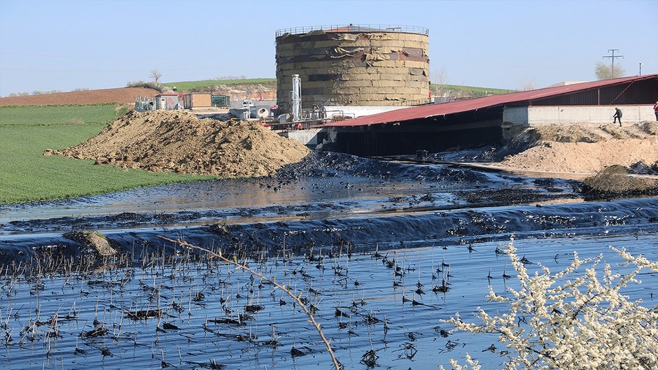 Edirne'de Korkutan Görüntü: Tonlarca Zift Çevreye Yayılıyor