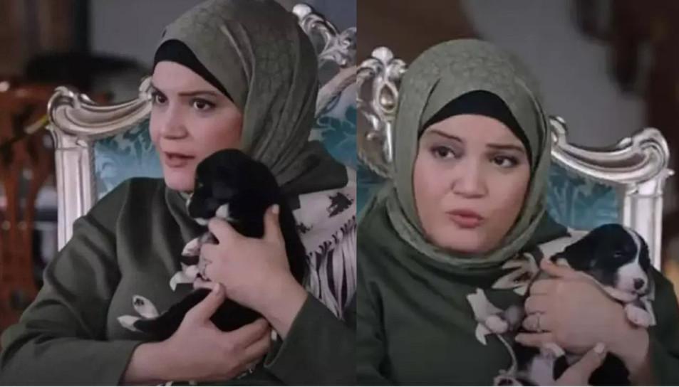 Sağlık Bakanlığı işi gücü bıraktı, Kızılcık Şerbeti'ndeki köpek repliğine cevap yetiştirdi