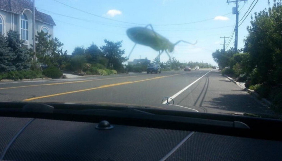 Gerçek ama gerçek dışı görünen 10 kare! Beyninizi kısa devre yaptıracak