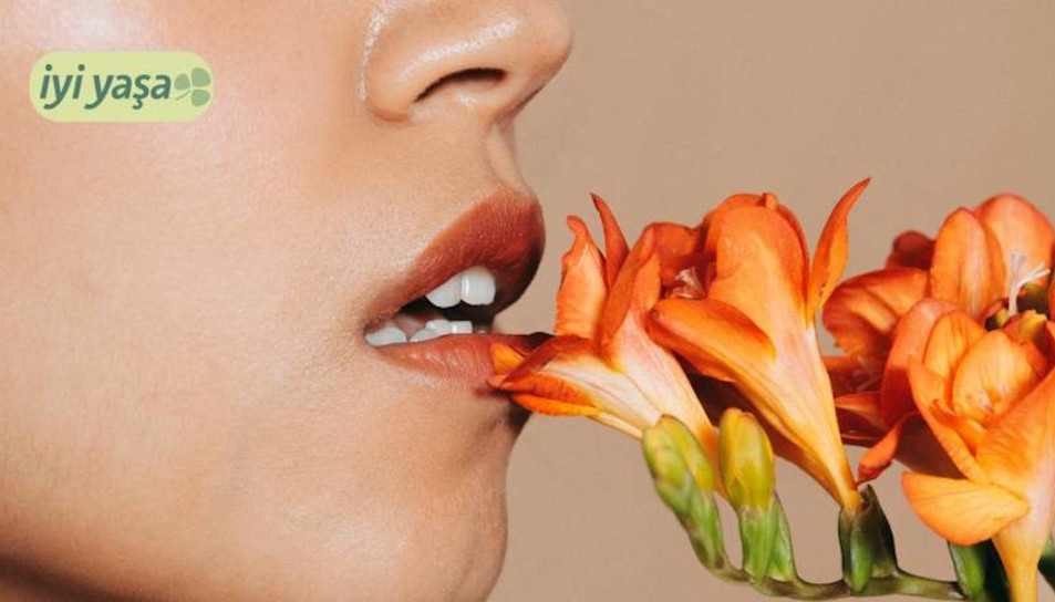 Sağlıklı ve nemli dudaklar için 12 adımda bakım rehberi
