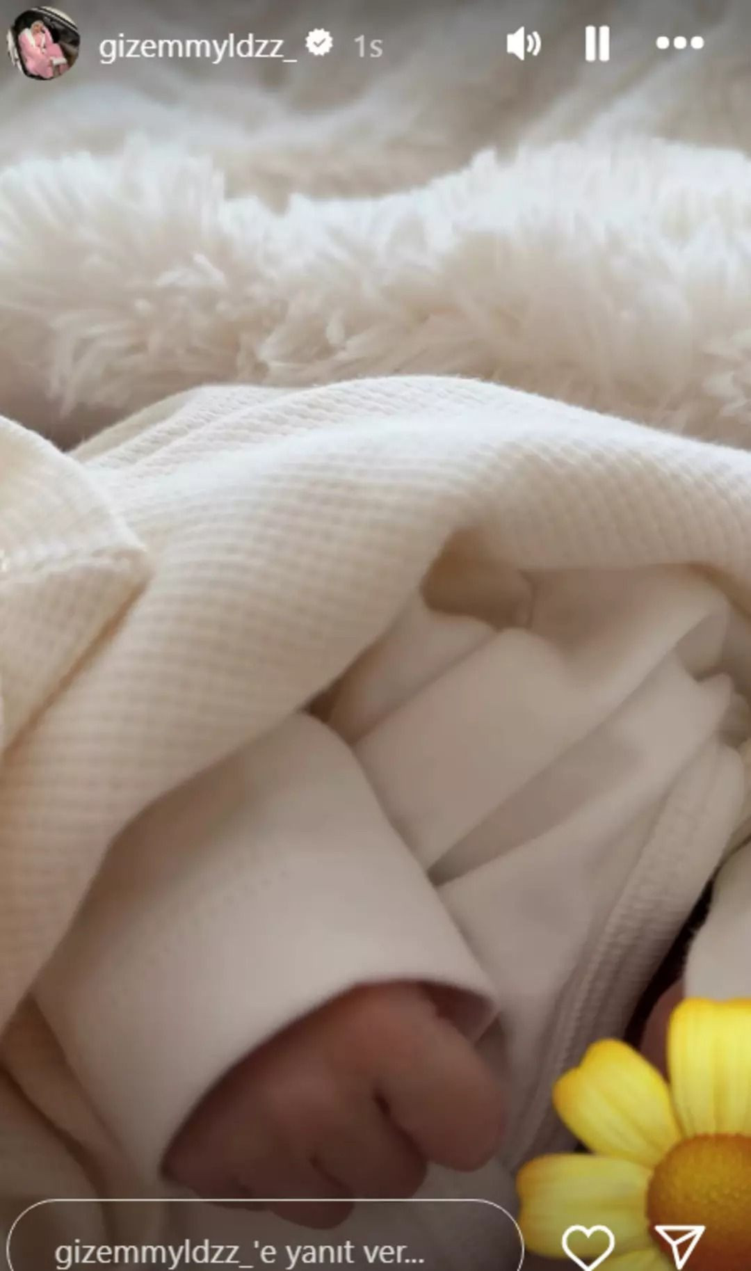 Amin Reis anne oldu! Vajinal doğum açıklaması tepki çekti - Resim: 4