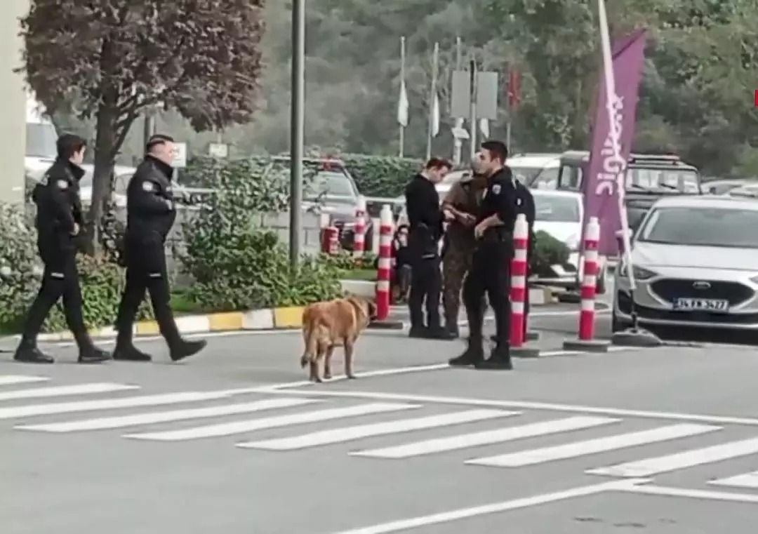 Oyuncak tabancayla binayı bastı: Polis müzakereyle ikna etti, şüpheli pişman olmadığını söyledi - Resim: 2