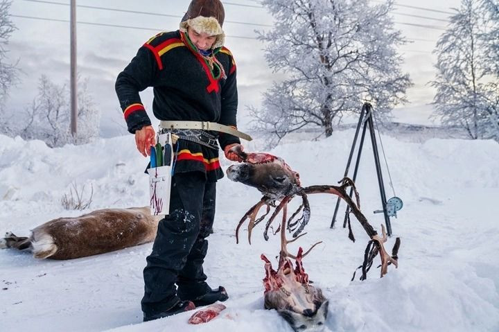 2025’in en etkileyici kareleri: National Geographic yılın fotoğraflarını seçti - Resim: 2