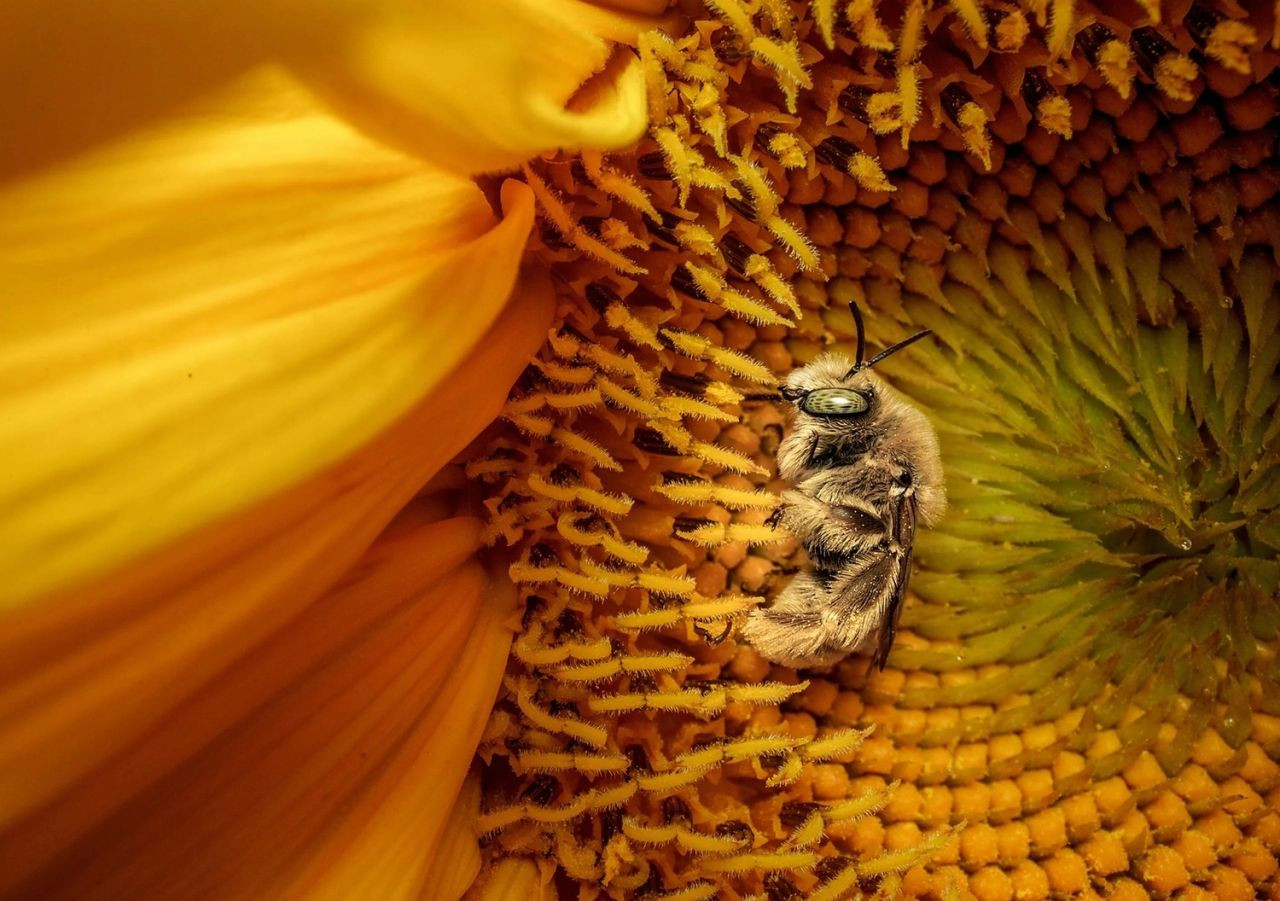 2025’in en etkileyici kareleri: National Geographic yılın fotoğraflarını seçti - Resim: 4