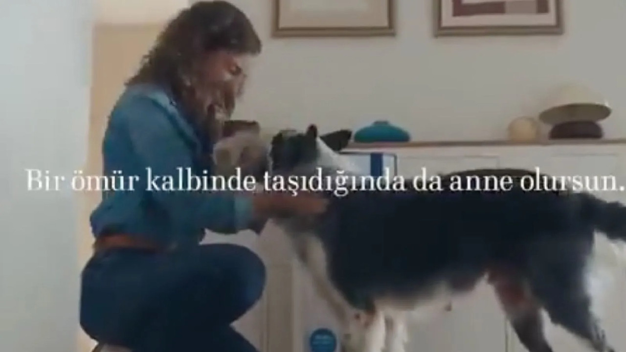 Bosch’un köpek annesi reklamı tartışma yarattı: RTÜK inceleme başlattı