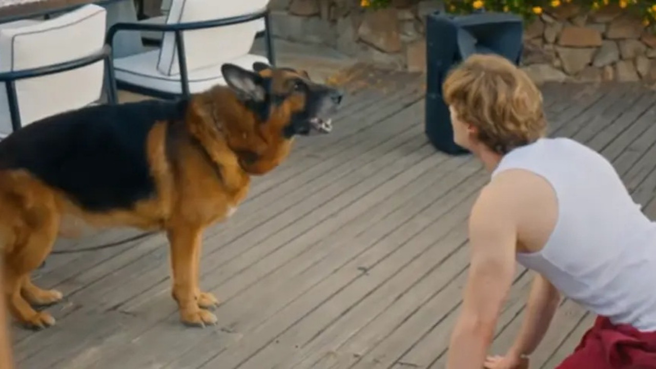 Daha 17'de şaşırtan sahne! Ata Yaşat’ın köpek gibi davrandığı anlar olay oldu
